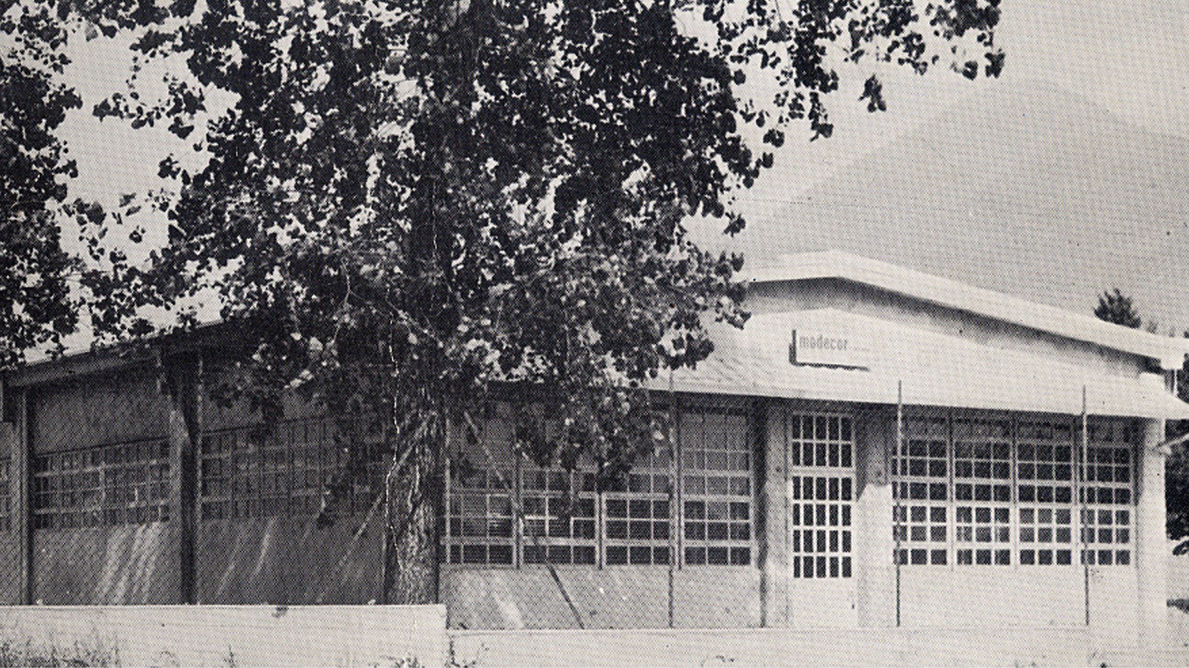 Modecor Italiana: the creativity of professional decoration since 1960.